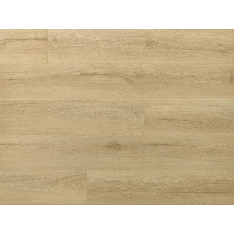 Arbiton Amaron Wood EIR Dąb Princeton CAS 228