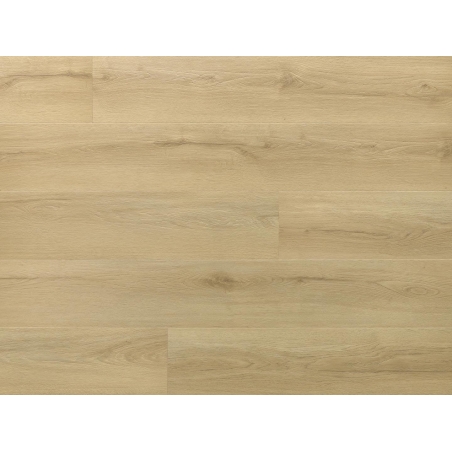 Arbiton Amaron Wood EIR Dąb Princeton CAS 228