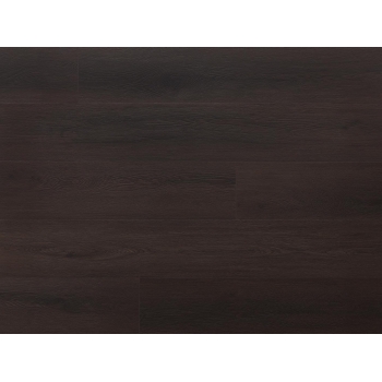 Arbiton Amaron Acoustic EIR Dąb Empire CASA 226