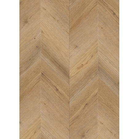 Weninger Fusion Dąb Virano