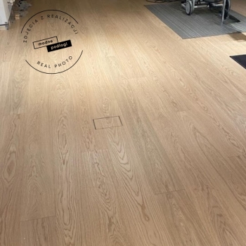 Scheucher WF182 Dąb Natur Perla szczotkowany lakier matowy