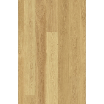 Scheucher WF182 Dąb Natur Natura szczotkowany lakier matowy