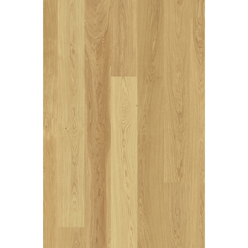 Scheucher WF182 Dąb Natur Natura szczotkowany lakier matowy