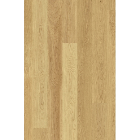 Scheucher WF182 Dąb Natur Natura szczotkowany lakier matowy