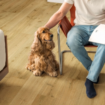 Quick-Step Impressive Ultra Dąb truflowy IMU8256